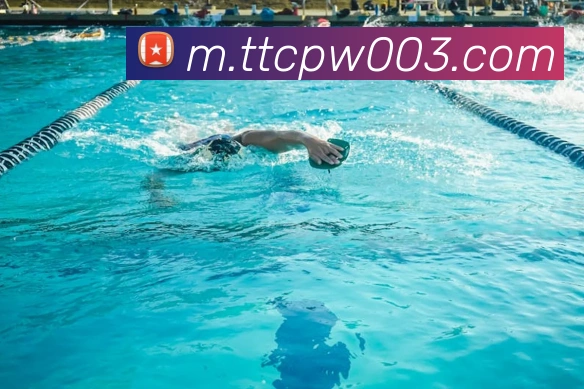 天天彩票官方网站平台生态图